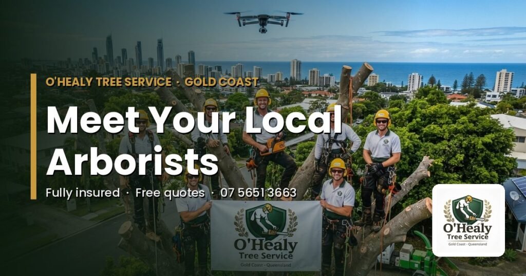 Gold Coast arborists - the O’Healy Tree Service crew