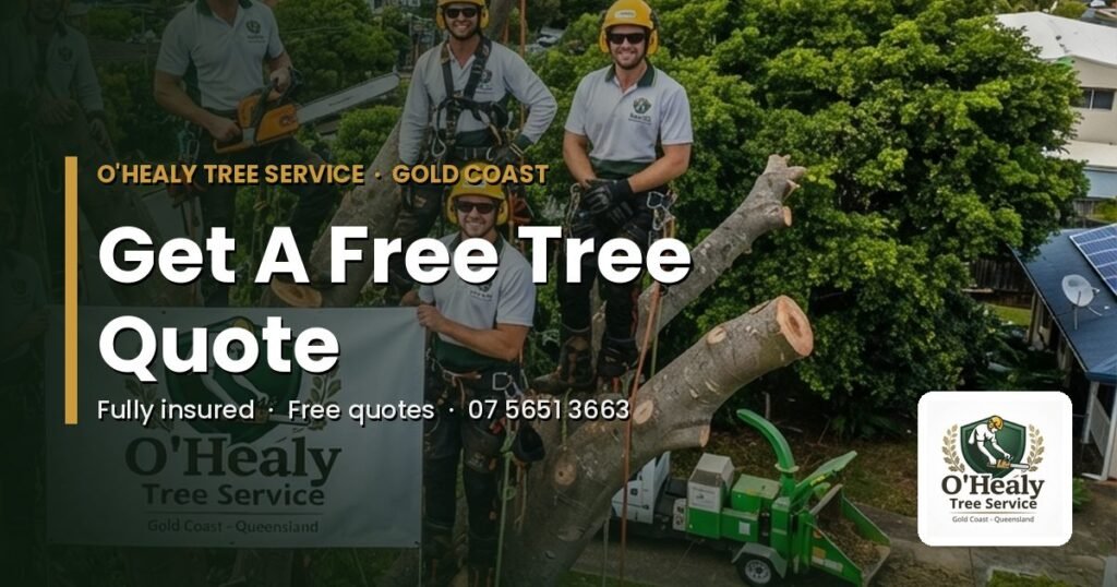 Free tree quote Gold Coast - contact O’Healy Tree Service