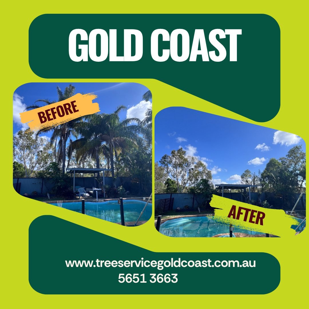 Palm tree removal Gold Coast – before and after of poolside palms removed by O'Healy Tree Service