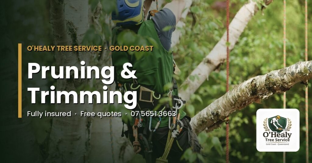 Tree pruning Gold Coast - tree trimming by O’Healy Tree Service