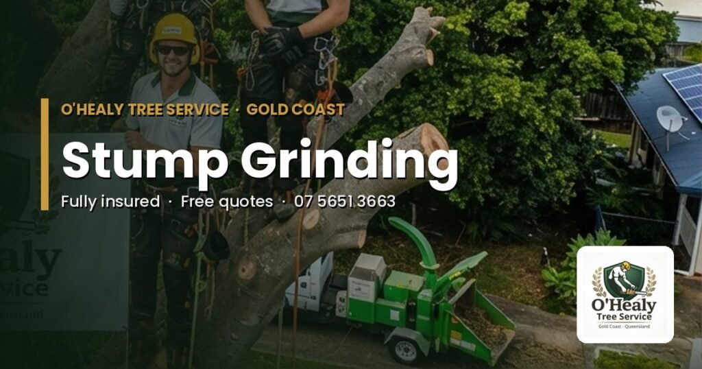 Stump grinding Gold Coast – O’Healy Tree Service