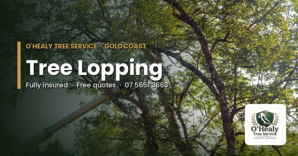 Tree lopping Gold Coast – O’Healy Tree Service