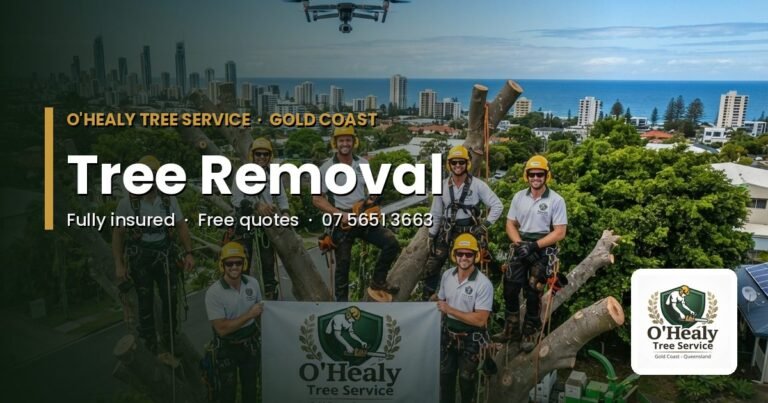 Tree removal Gold Coast – O’Healy Tree Service crew