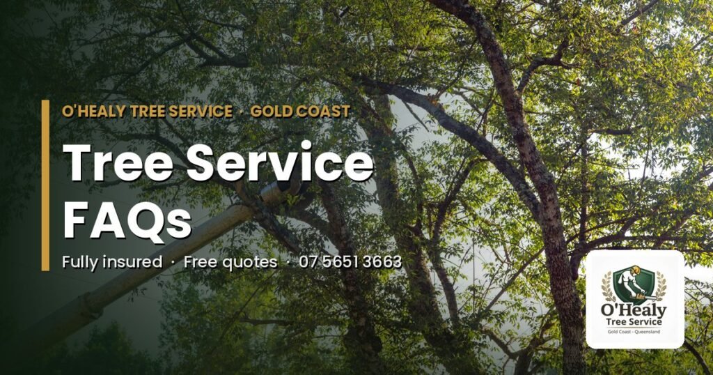 Tree service FAQs - O’Healy Tree Service Gold Coast