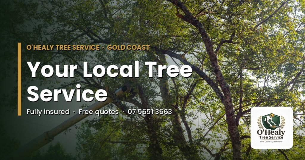 Tree service Gold Coast - O’Healy Tree Service