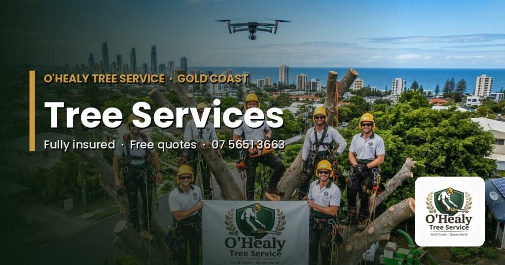 Tree services Gold Coast - O’Healy Tree Service crew